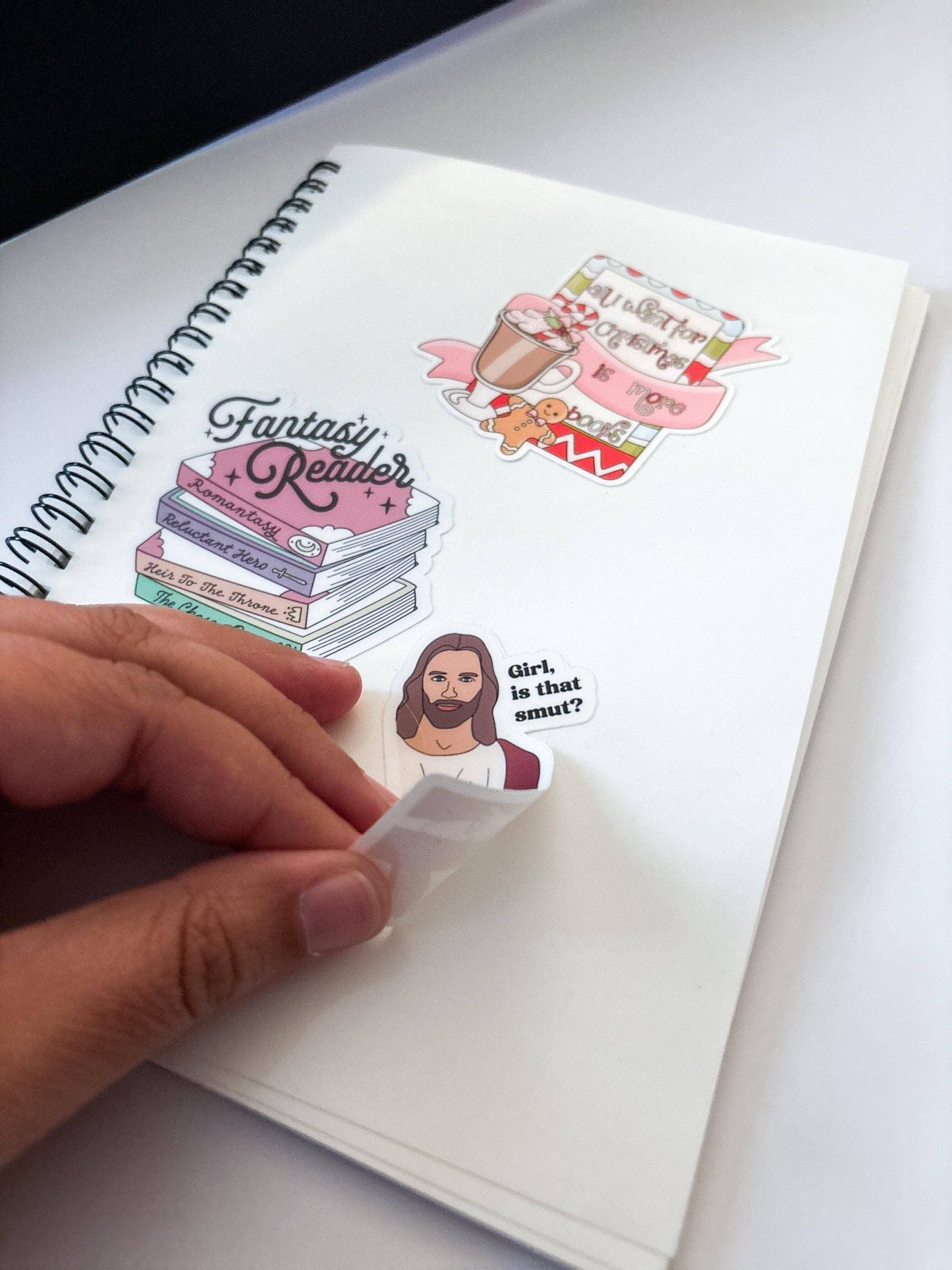 Reusable Sticker Book - 100 pages