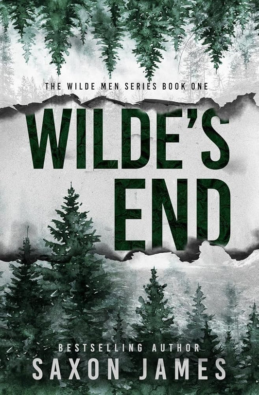 Wilde's End cover image